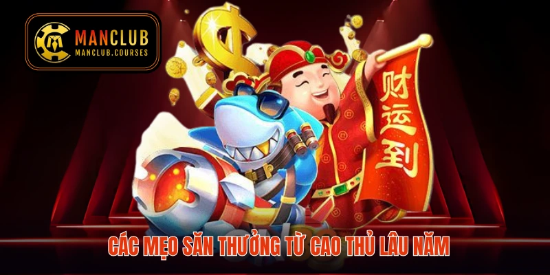 Các mẹo săn thưởng từ cao thủ lâu năm