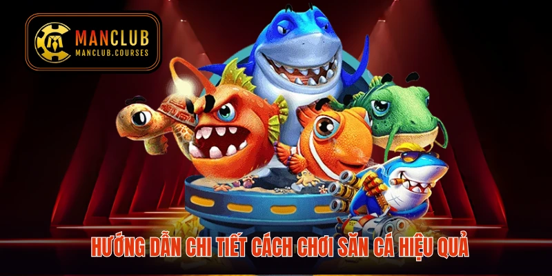 Hướng dẫn chi tiết cách chơi săn cá hiệu quả