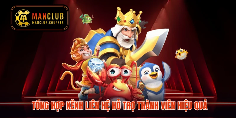 Tổng hợp kênh liên hệ hỗ trợ thành viên hiệu quả