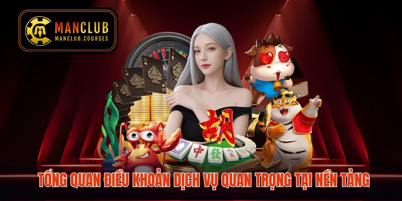 Tổng quan điều khoản dịch vụ quan trọng tại nền tảng